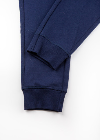 Темно-синие спортивные демисезонные брюки Sisley
