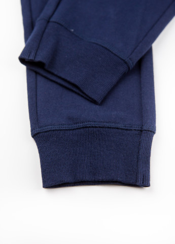 Темно-синие спортивные демисезонные брюки Sisley