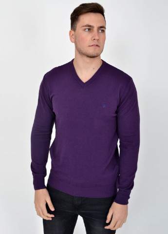Фіолетовий демісезонний пуловер пуловер Ager