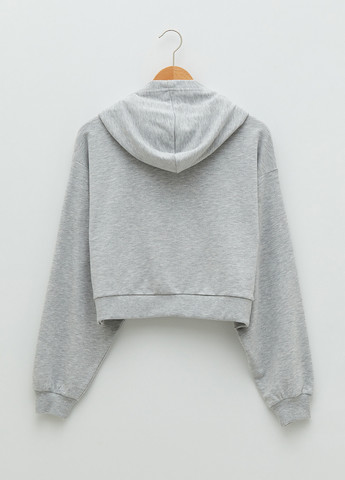 Худи LC Waikiki (257412092)