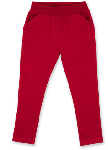 Красный демисезонный костюм десткий с объемной аппликацией (8401-98g-gray) Breeze