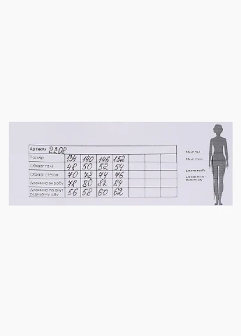 Черные спортивные зимние брюки Atescan
