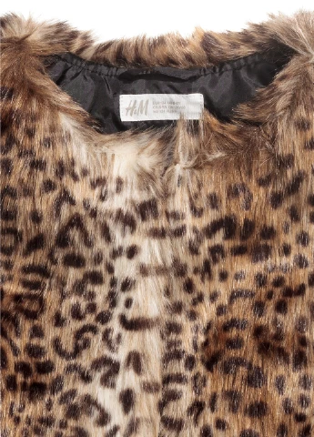 Жилет H&M (250302007)