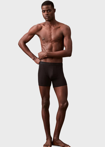 Труси (3 шт.) Calvin Klein (366431643)
