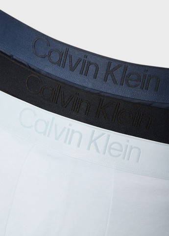 Труси (3 шт.) Calvin Klein (366431643)