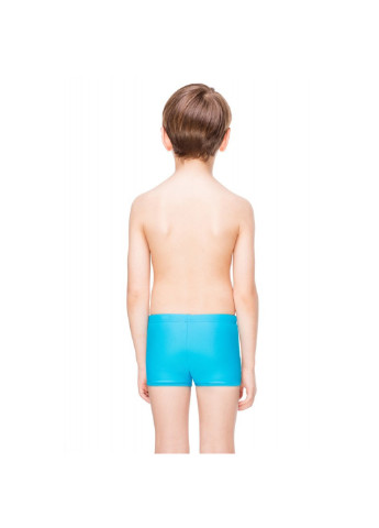 Детские плавки для мальчика 128 см Aqua Speed (196557723)