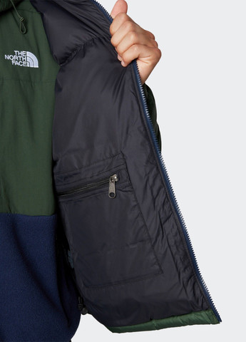 Зеленая зимняя куртка The North Face NF0A3C8DOAS1