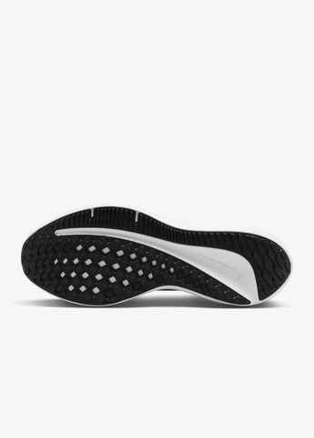 Черные демисезонные кроссовки dv4022-003 Nike Winflo 10