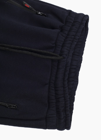 Синие спортивные зимние брюки Atescan