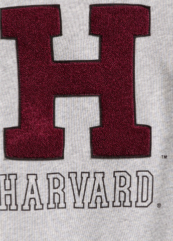 Свитшот H&M - Прямой крой надпись светло-серый кэжуал хлопок - (173509589)