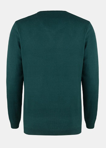 Зелений демісезонний пуловер пуловер Pako Lorente