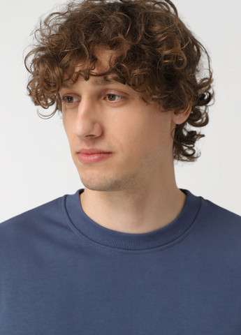 Серо-синий свитшот Promin однотонный без декора (323777899)