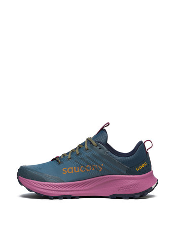 Кроссовки Saucony RIDE TR2 GTX тёмно-синие всесезоны (306940993)