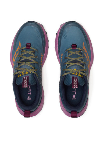 Кроссовки Saucony RIDE TR2 GTX тёмно-синие всесезоны (306940993)