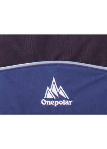 Чоловіча спортивна сумка 37х28х11 см Onepolar (252133647)