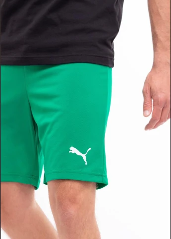 Шорты 704942-05 Puma teamRISE Short (327409103)