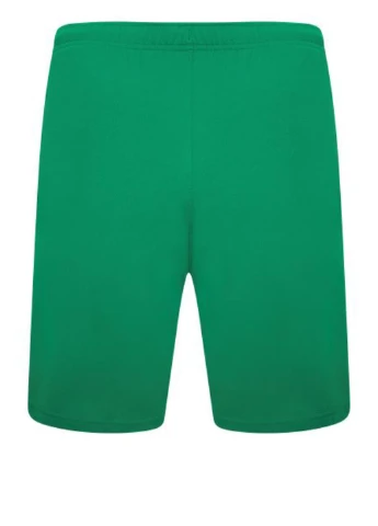 Шорты 704942-05 Puma teamRISE Short (327409103)