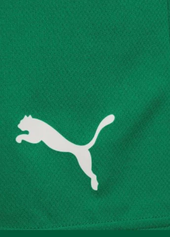 Шорты 704942-05 Puma teamRISE Short (327409103)