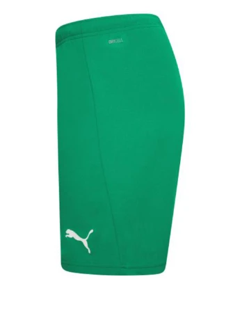 Шорты 704942-05 Puma teamRISE Short (327409103)