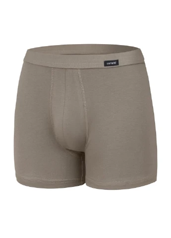 Труси-шорти чоловічі Perfect Authentic L оливковий 220 Cornette (254423858)