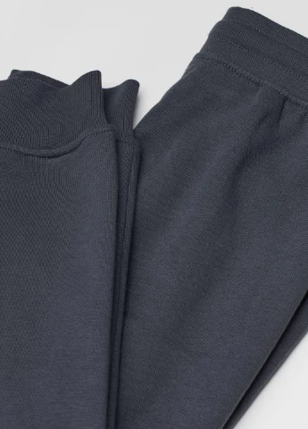 Штани демісезон,сірий, Basic H&M (256787853)