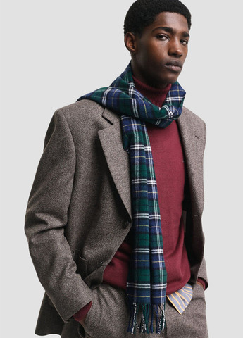 Шарф Gant (322523566)