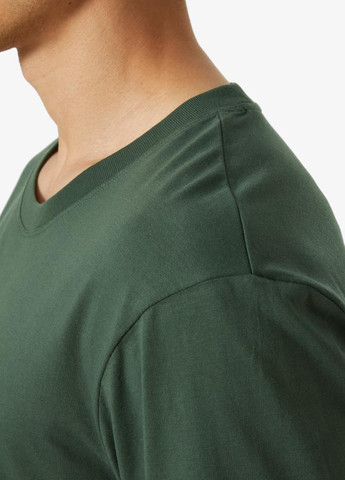 Серо-зеленая футболка 62978-476 Helly Hansen NORD GRAPHIC T-SHIRT