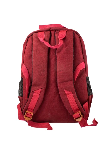 Чоловік міської рюкзак 30х41х12,5 см Valiria Fashion (195771921)