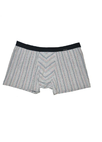 Труси-шорти чоловічі Perfect mini Various 98 L меланжевий 228-19 Cornette (254317044)