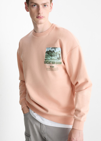 Персиковий світшот C&A малюнок без декору (362157609)