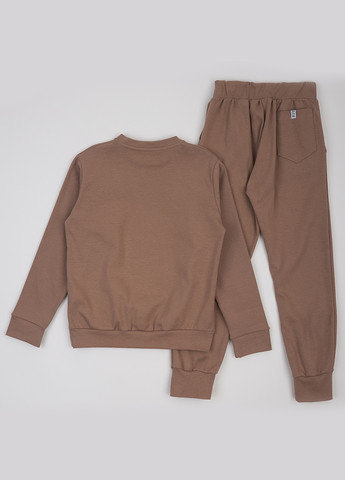 Спортивний костюм (світшот, штани) ArDoMi (322563685)