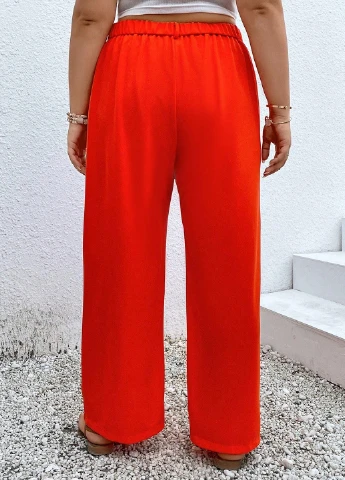 Брюки SHEIN (323619629)