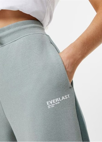 Серо-зеленые спортивные демисезонные джоггеры брюки Everlast