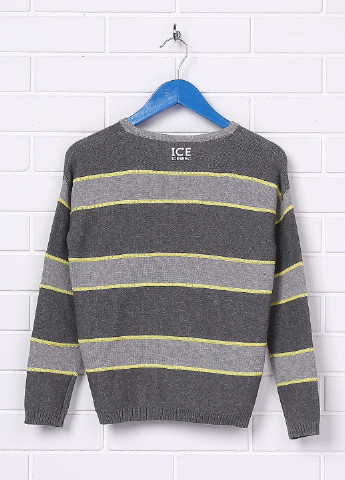 Сірий демісезонний пуловер пуловер Iceberg