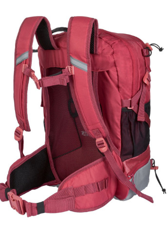 Спортивний рюкзак 48x32x17 см Crivit Sports (250096902)