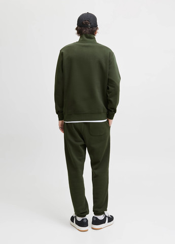 Штани Jack & Jones (352530813)