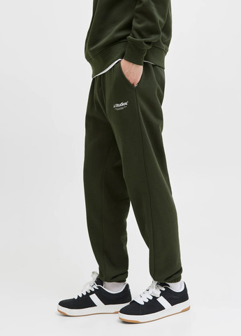 Штани Jack & Jones (352530813)