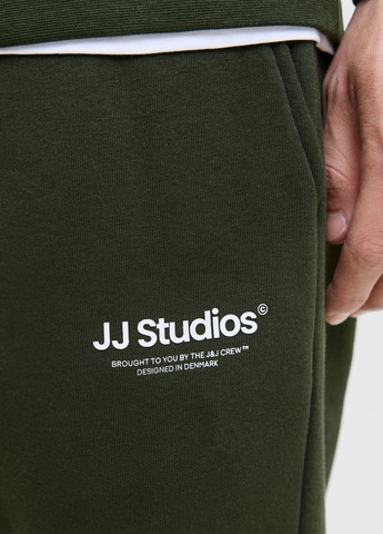 Штани Jack & Jones (352530813)