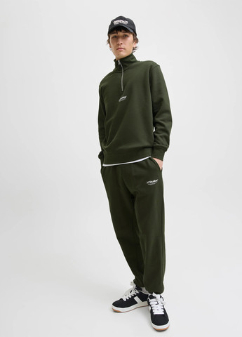 Штани Jack & Jones (352530813)