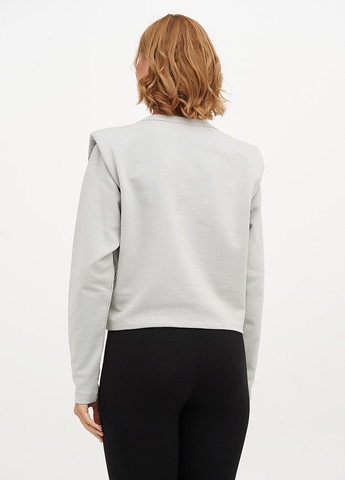 Світло-сірий демісезонний светр H&M