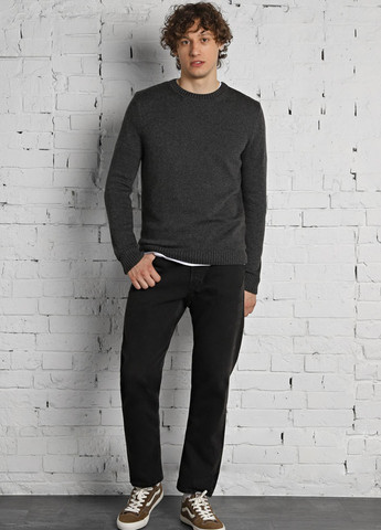 Темно-сірий демісезонний джемпер джемпер Promin