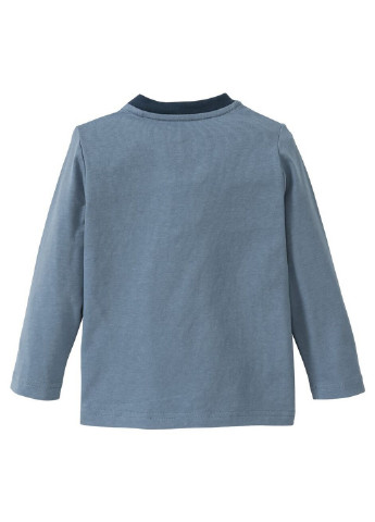 Сіро-голубий всесезон піжама (лонгслів, брюки) Lupilu