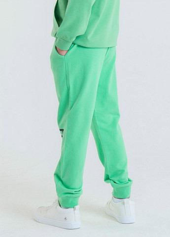 Зеленые кэжуал, спортивные демисезонные брюки джоггеры Piazza Italia