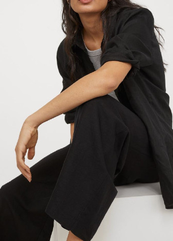 Брюки H&M (251799912)