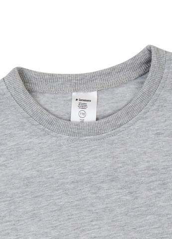 Світло-сіра демісезонна футболка Garnamama