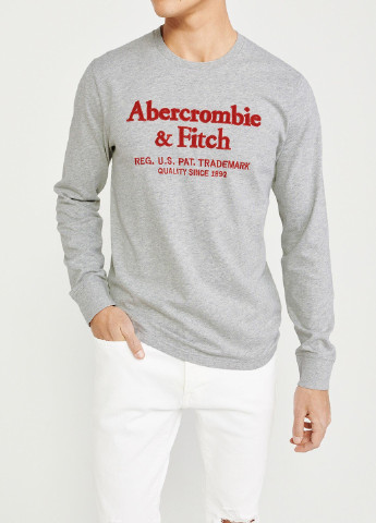 Серый демисезонный кэжуал лонгслив Abercrombie & Fitch с надписями