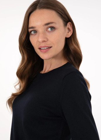 Темно-синій демісезонний джемпер джемпер Pierre Cardin