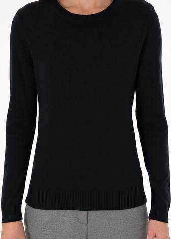 Темно-синій демісезонний джемпер джемпер Pierre Cardin