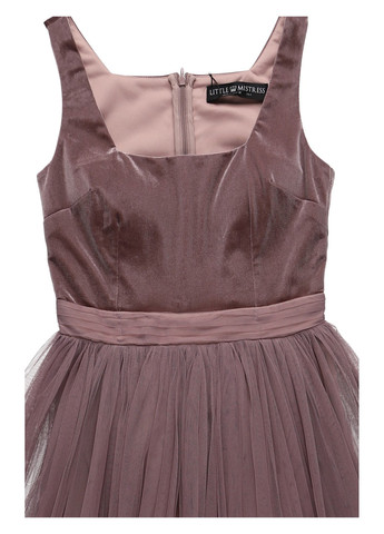 Фіолетова святковий сукня з пишною спідницею Little Mistress однотонна