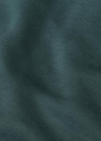 Брюки FB8330-328 Nike SPORTSWEAR TECH FLEECE (321505929)